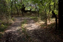 Песчаные горы и скалы на берегу Сухого Донца