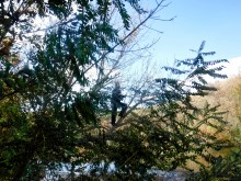 Песчаные горы и скалы на берегу Сухого Донца