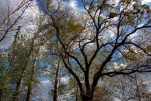 Песчаные горы и скалы на берегу Сухого Донца