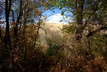 Песчаные горы и скалы на берегу Сухого Донца