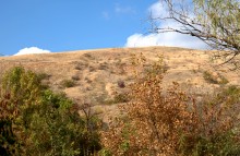 Песчаные горы и скалы на берегу Сухого Донца