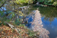 Песчаные горы и скалы на берегу Сухого Донца