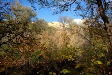 Песчаные горы и скалы на берегу Сухого Донца