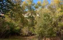 Песчаные горы и скалы на берегу Сухого Донца