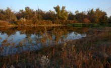 Старый брод у хутора Каныгин