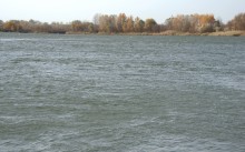 Дон у Старочеркасской