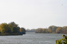 Дон у Старочеркасской