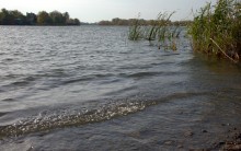 Дон у Старочеркасской