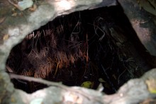 Старинная усадьба с фонтаном, помещиков Грековых