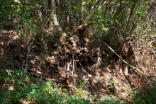 Старинная усадьба с фонтаном, помещиков Грековых