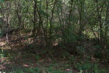 Старинная усадьба с фонтаном, помещиков Грековых