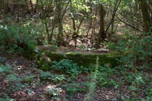 Старинная усадьба с фонтаном, помещиков Грековых