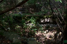 Старинная усадьба с фонтаном, помещиков Грековых