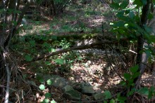 Старинная усадьба с фонтаном, помещиков Грековых