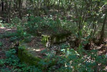 Старинная усадьба с фонтаном, помещиков Грековых