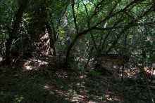 Старинная усадьба с фонтаном, помещиков Грековых