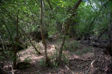 Старинная усадьба с фонтаном, помещиков Грековых