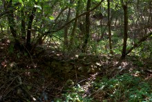 Старинная усадьба с фонтаном, помещиков Грековых