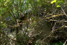 Старинная усадьба с фонтаном, помещиков Грековых