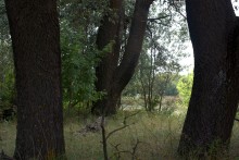 Старинная усадьба с фонтаном, помещиков Грековых