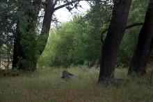 Старинная усадьба с фонтаном, помещиков Грековых