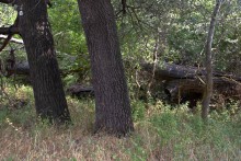 Старинная усадьба с фонтаном, помещиков Грековых