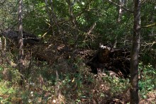 Старинная усадьба с фонтаном, помещиков Грековых