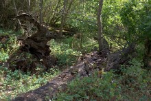 Старинная усадьба с фонтаном, помещиков Грековых