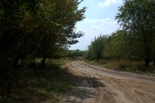 Старинная усадьба с фонтаном, помещиков Грековых