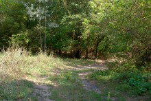 Старинная усадьба с фонтаном, помещиков Грековых