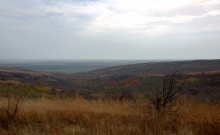 Осень на пожарище на Раздорских склонах