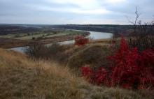 Осень в правобережье Северского Донца у станицы Усть-Быстрянской и Кундрюченских лесов