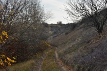 Осень в правобережье Северского Донца у станицы Усть-Быстрянской и Кундрюченских лесов