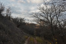 Осень в правобережье Северского Донца у станицы Усть-Быстрянской и Кундрюченских лесов