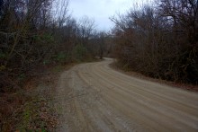 Осень в правобережье Северского Донца у станицы Усть-Быстрянской и Кундрюченских лесов