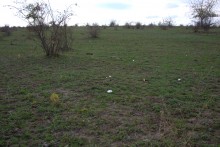 Осень в правобережье Северского Донца у станицы Усть-Быстрянской и Кундрюченских лесов