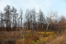 Осень в правобережье Северского Донца у станицы Усть-Быстрянской и Кундрюченских лесов