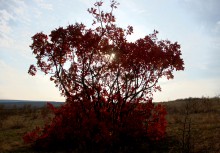 Осень в правобережье Северского Донца у станицы Усть-Быстрянской и Кундрюченских лесов
