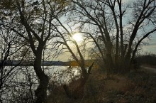 Осень в правобережье Северского Донца у станицы Усть-Быстрянской и Кундрюченских лесов