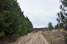 Осень в правобережье Северского Донца у станицы Усть-Быстрянской и Кундрюченских лесов
