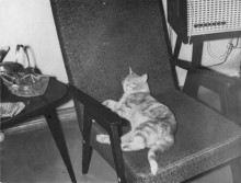 Обстановка 60-х годов