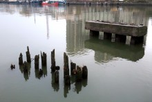 Зелёный остров, прогулка во времени.