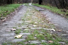 Зелёный остров, прогулка во времени.