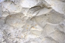 Глиняный и песчаный карьер у Большого Несветая