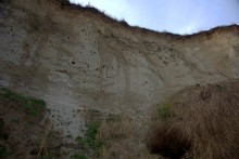 Глиняный и песчаный карьер у Большого Несветая