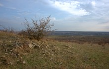 Бои и форсирование Северского Донцу у хутора Верхнепотапов в январе 1943 г.