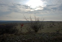 Бои и форсирование Северского Донцу у хутора Верхнепотапов в январе 1943 г.