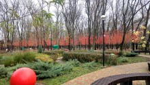 Парк "Осенний" на Чкаловском