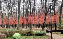 Парк "Осенний" на Чкаловском