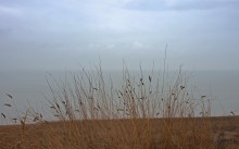 Берег в Морском Чулеке